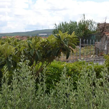 Passiflora House - Basilicata Nyaraló *