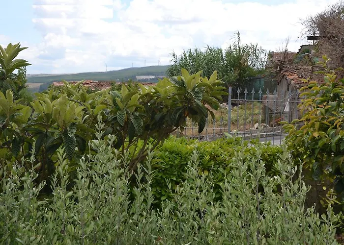 Passiflora House - Basilicata Casa vacanze *